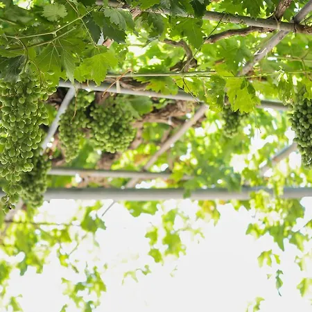 Casa De Calma Dom wakacyjny Argostoli (Kefalonia)